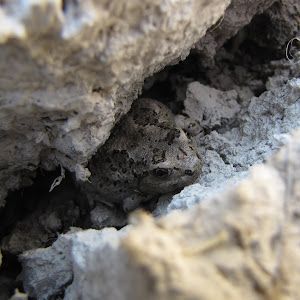 Profile Picture of enji (@noelgraham3) on Tiktok