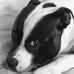 Profile Picture of Keith Duross (@keith.duross.1675) on Facebook