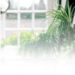 Profile Picture of Philip D. Pipkins (@grphilip_d._pipkins) on Instagram