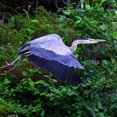 Profile Picture of Kim Turner (@khwturner) on Twitter