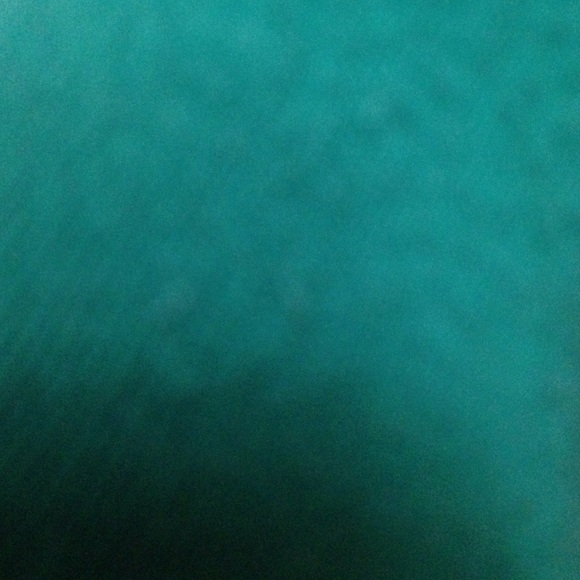 Profile Picture of Emily Engberson (@backstokeemily) on Poshmark