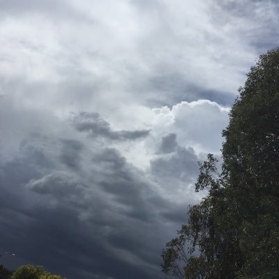 Profile Picture of Brett Anthony (@Brett_Ant) on Twitter