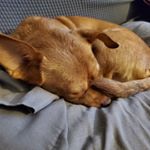 Profile Picture of jesse jaramillo (@notpartofthis) on Instagram