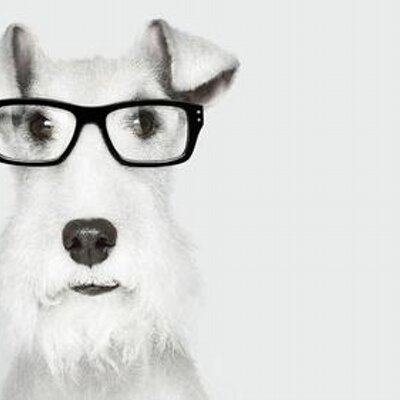 Profile Picture of Peter.zhu (@peterzhu2008) on Twitter