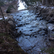 Profile Picture of DR_DEELY (@dr_deely870) on Youtube