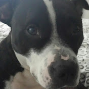 Profile Picture of Brendon Foster (@brendonfoster4581) on Youtube