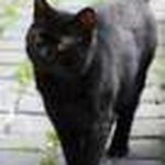 Profile Picture of chantal de herder (@zumbagirlzumbagirl) on Instagram