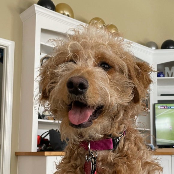 Profile Picture of David Mclean (@davidemclean) on Poshmark