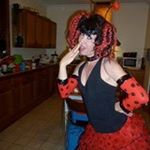 Liz Bankoff - Instagram Profile Picture of Liz Bankoff (@boolisa65) on Instagram