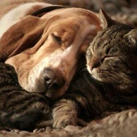 Profile Picture of Eileen Garcia Lugo (@eileengarcialug) on Pinterest