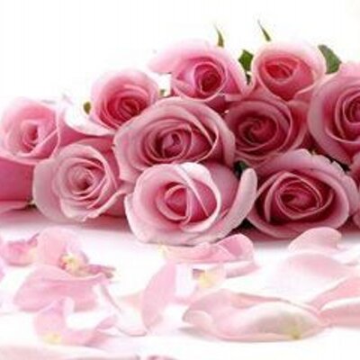Profile Picture of Kathy Kuntz (@kathy8931) on Twitter