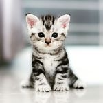 Profile Picture of Robin_insta (@robin_lecompte) on Instagram