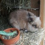 Profile Picture of Eileen Ebert (@ei_214) on Instagram