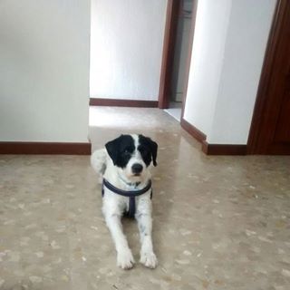 Profile Picture of Luis Ares (@Luis-Ares) on Facebook