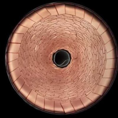 Profile Picture of Howard Tran (@howardtran8) on Twitter