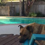 Profile Picture of Samantha Parrett (@sam_parrett) on Instagram