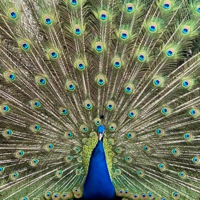 Profile Picture of J.Curry (@JCurryPhoto) on Twitter