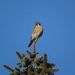 Profile Picture of Brett Wiese (@bcwiese) on Pinterest