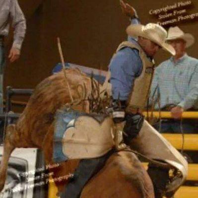 Profile Picture of Noel Perry (@noelperry2587) on Twitter