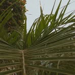 Profile Picture of Lori Singh (@Lori-Singh) on Facebook