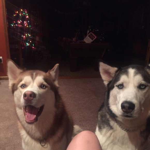 Profile Picture of Austin Kuznik (@kuznik) on Poshmark