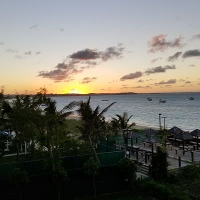 Profile Picture of Steve Juliano (@SteveJuliano) on Twitter