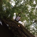 Profile Picture of Mike Klatt (@klatt_mike) on Instagram