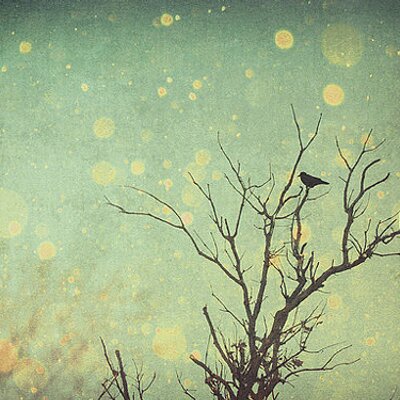 Profile Picture of Cha Chul Ahn (@yh0126) on Twitter