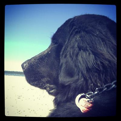 Profile Picture of Andrew Dalgleish (@DrewDalgleish) on Twitter