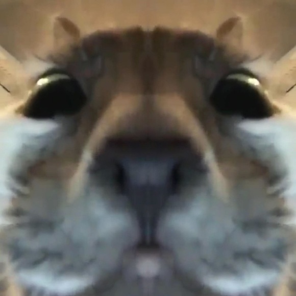 Profile Picture of Adam Rojas (@adamrojas144) on Poshmark