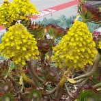 Profile Picture of Pat Renfro (@pat.renfro.315) on Facebook