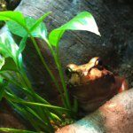 Profile Picture of Christy Daquila (@damatenace) on Instagram