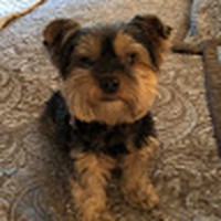 Profile Picture of Phyllis Mcgee (@phyllis-mcgee-7) on Quora
