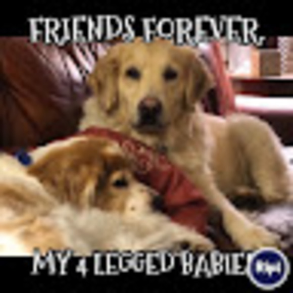 Profile Picture of Meg Forsberg (@meg_forsberg) on Poshmark