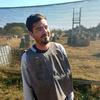 Profile Picture of Carel McTavish (@@carelmctavish) on Tiktok