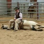 Stephen Heitmann - Instagram Profile Picture of Stephen Heitmann (@stephenheitmann) on Instagram