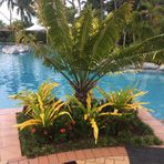 Profile Picture of Bruce Newling (@Bruce-Newling) on Facebook