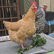 Profile Picture of John Pompa (@JohnPompa) on Youtube