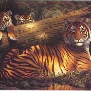 Profile Picture of Marcus Spicer (@427353581) on Myspace