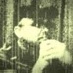 Profile Picture of Wilfredo Borrero (@wilbor777) on Instagram