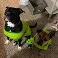 Profile Picture of Hayden Sutton (@hayden-sutton-17) on Quora