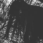 Profile Picture of luca_barbone (@luca_barbone) on Instagram