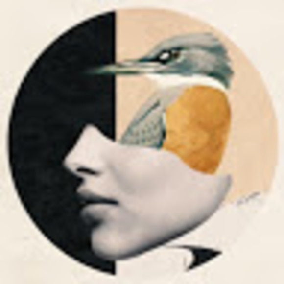 Profile Picture of Raven Stephens (@thebirdwaword) on Poshmark