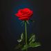 Profile Picture of Rosa Dobson Williams (@rosa.dobson.9) on Facebook