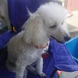 Profile Picture of Melissa Plumley (@melissa.plumley.9) on Myspace