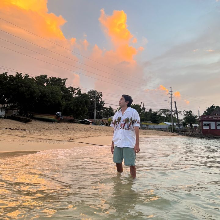 Profile Picture of dominicoyle (@dominicoyle) on Tiktok