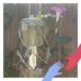 Profile Picture of Theda Johnson (Jerri) (@theda.johnson.3) on Facebook