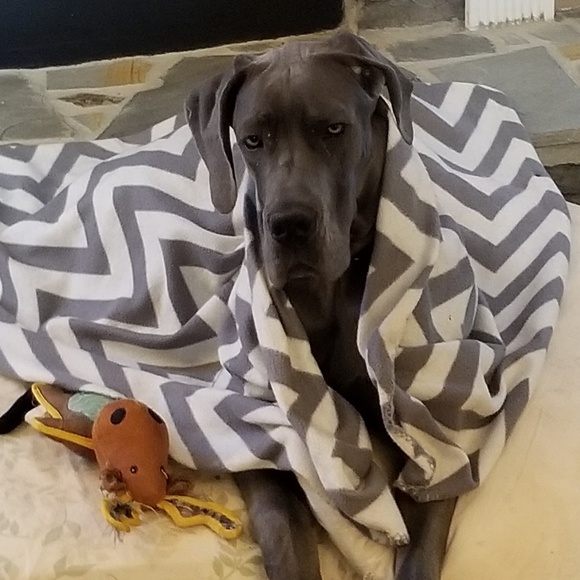 Profile Picture of Michael Shepherd (@athena105) on Poshmark