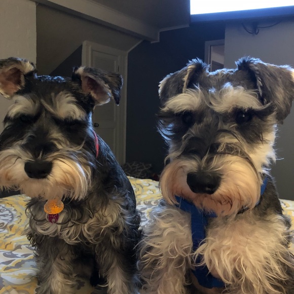 Profile Picture of April Rosebrook (@arosebrook) on Poshmark