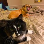 Profile Picture of Amanda Quayle (@mandy81882) on Instagram